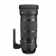 Sigma 120-300/2.8 DG OS HSM Sports