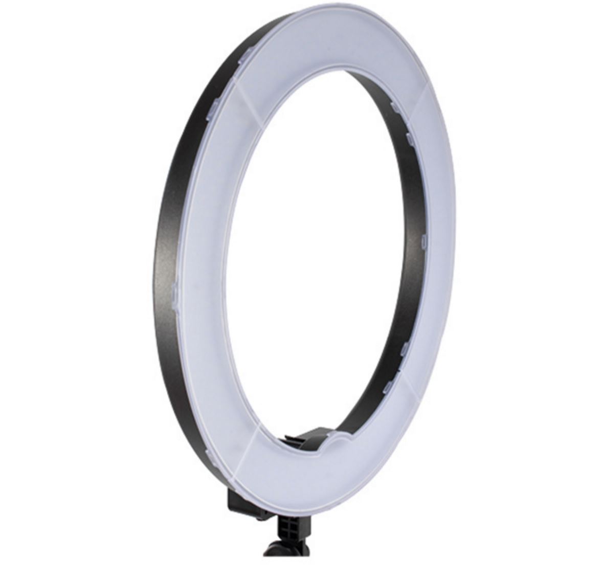 Apex LED Ring Light 5500k (Daylight/Pure White)