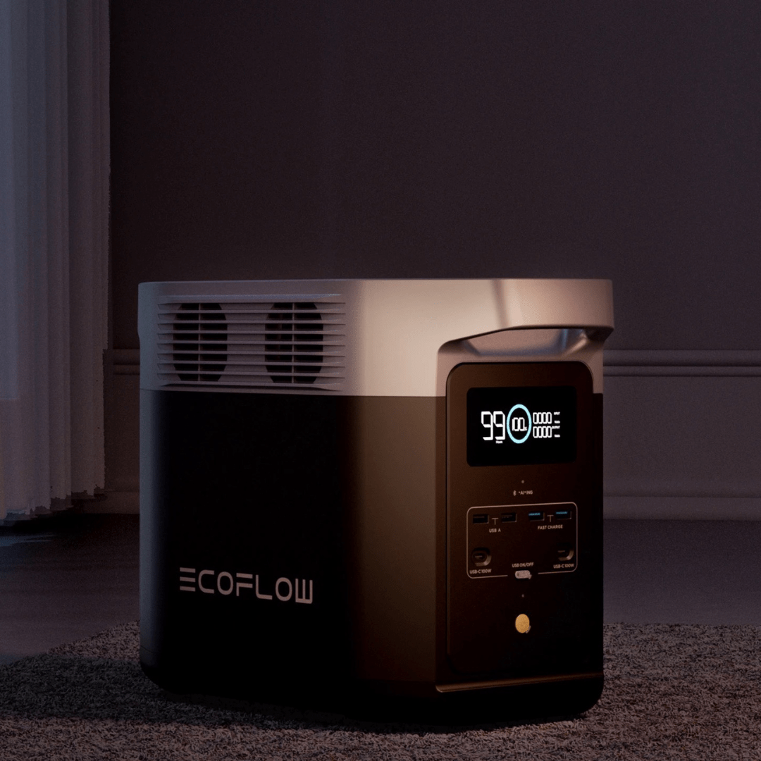 EcoFlow DELTA 2 Portable Power Station