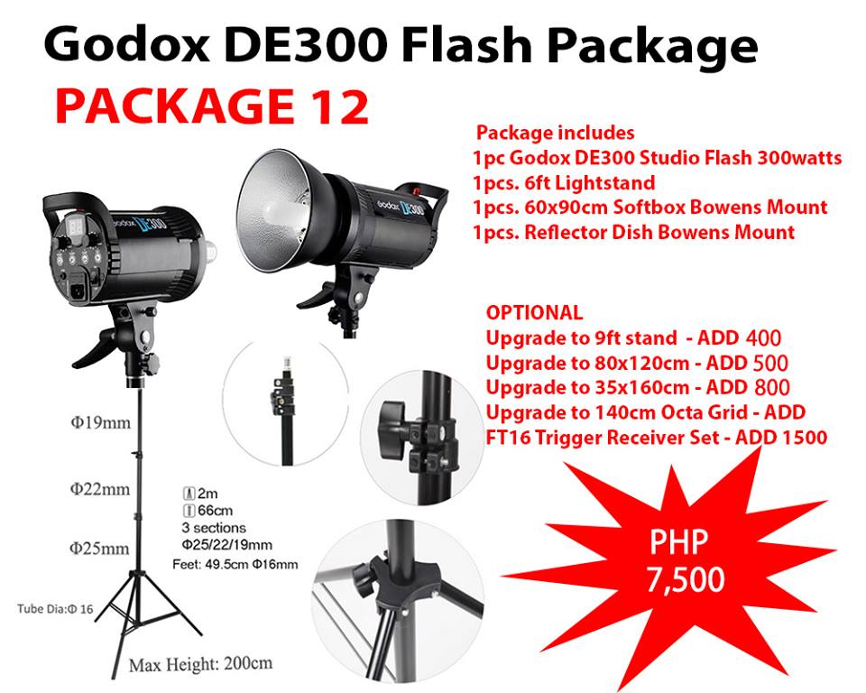 Godox DE300 Flash Package (Package 12)