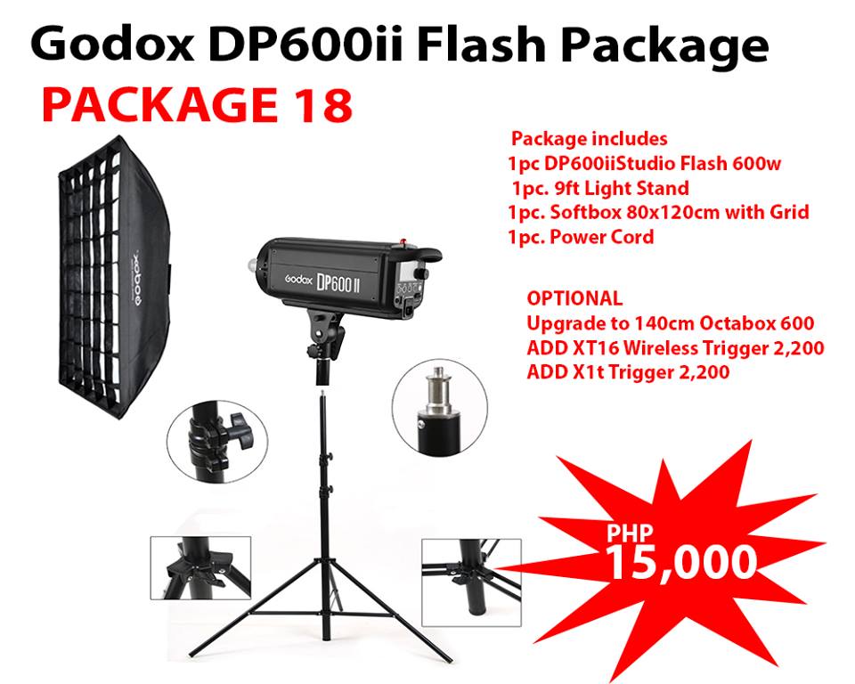 Godox DP600ii Flash Package (Package 18)