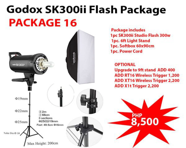 Godox SK300ii Flash Package (Package 16)